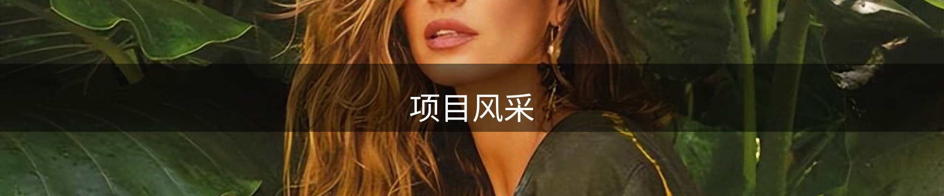 项目风采